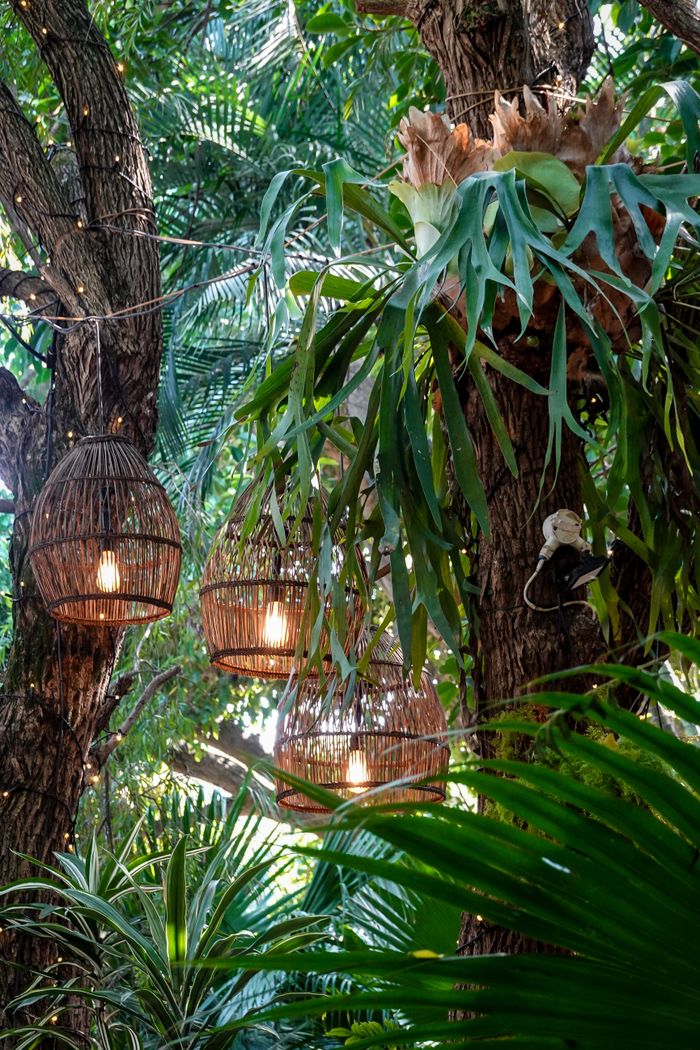 Wicker lanterns elegantly hang amidst lush green foliage in a tropical outdoor setting.