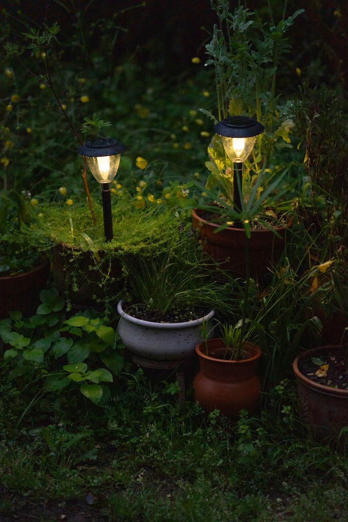 gallery-04 Warm garden lights glow among potted plants, creating a serene evening ambiance.